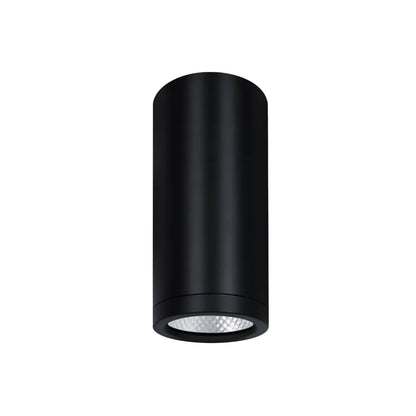 2.5in 15W 5CCT Selectable Cylinder System Black