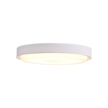 24W Ceiling and Pendant Fixture-Light2Work