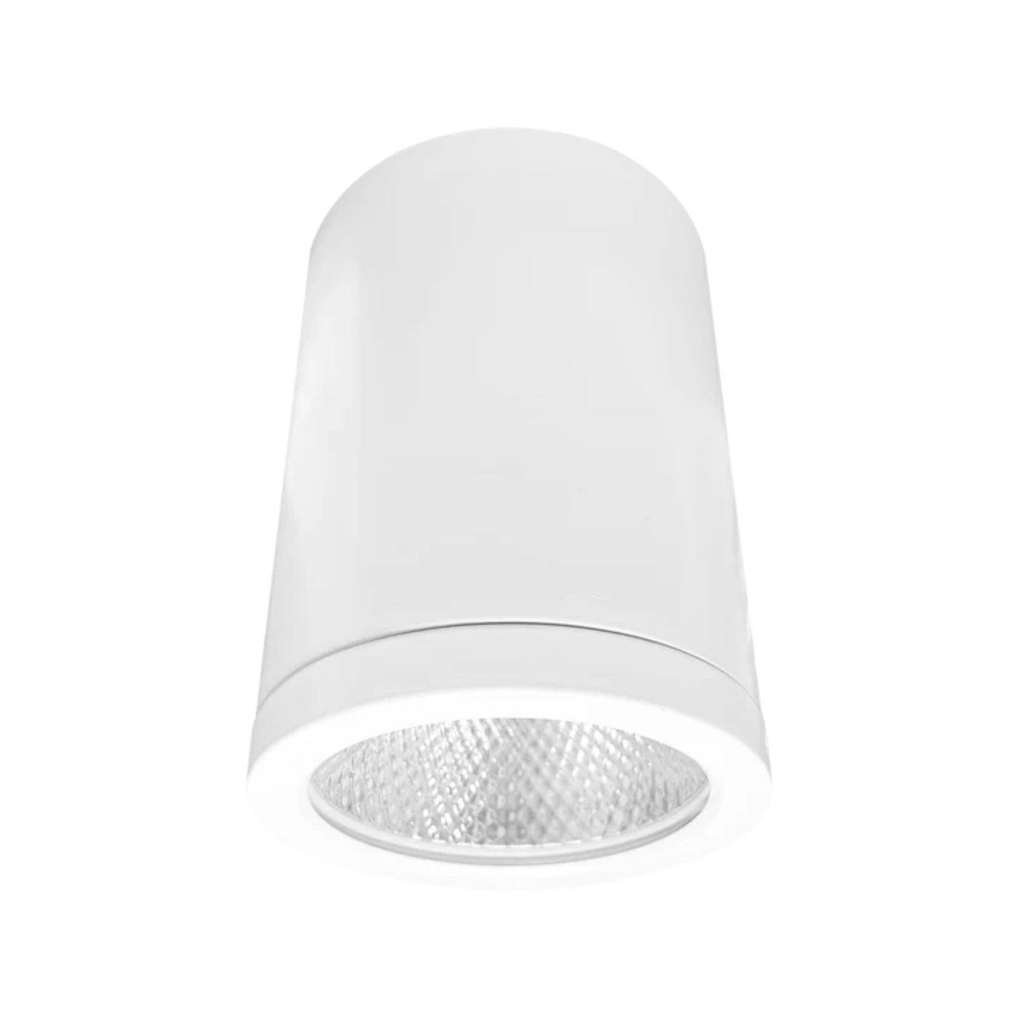 4.5" Cylinder System - 5 CCT Selectable Dual Dimming/Universal Voltage White Finish