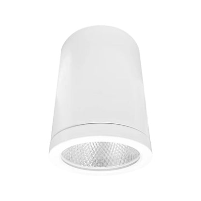 4.5" Cylinder System - 5 CCT Selectable Dual Dimming/Universal Voltage White Finish