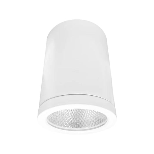 4.5" Cylinder System - 5 CCT Selectable Dual Dimming/Universal Voltage White Finish