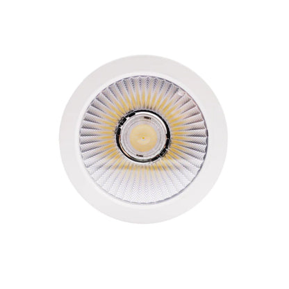 4.5" Cylinder System - 5 CCT Selectable Dual Dimming/Universal Voltage White Finish