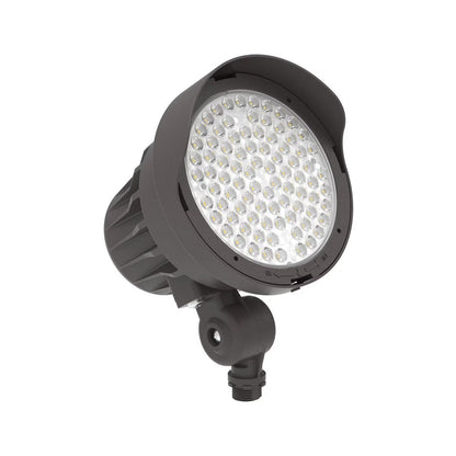 30W Watt & CCT Selectable Bullet Spot Flood Light